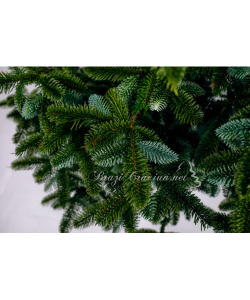 Brad Artificial Tremblant Full 3D 180 cm