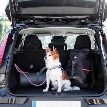Husa de protectie auto pentru animale de companie de un loc Kabapet
